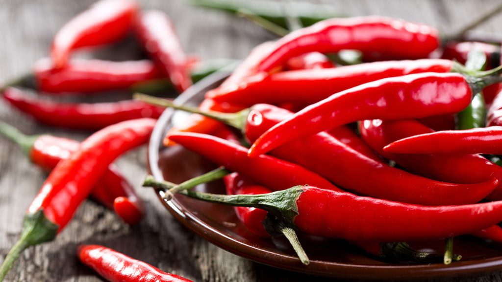 chilli pepper oxhorn f1
