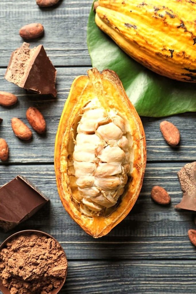 Cocoa